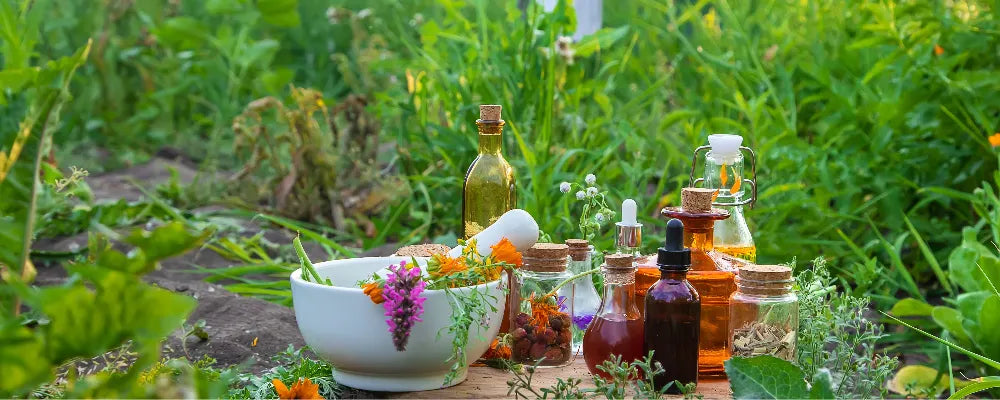 ayurvedischer-doshatest-käuter-öle-für-vata-pitta-und-kapha-doshas-und-lernerfahrungen-rund-um-das-thema.